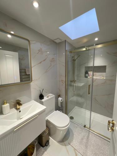 a bathroom with a shower and a toilet and a sink at Brand New One Bedroom Apartment in Hendon