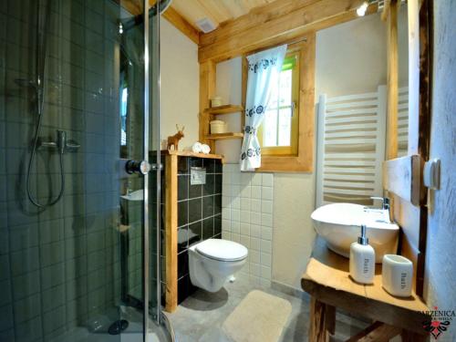 ザコパネにあるTatryTop Domek Parzenicaのバスルーム(トイレ、シャワー、シンク付)