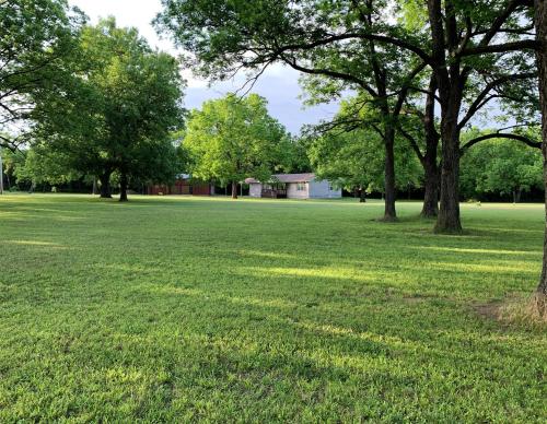 a large grass field with trees in the background at GabyHill in Davis