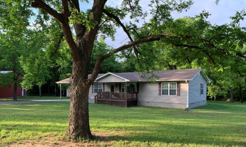 a small house with a tree in the yard at GabyHill in Davis