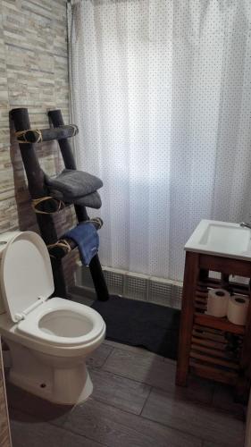 a bathroom with a toilet and a shelf with towels at Cabaña Regivan en Uspallata in Uspallata