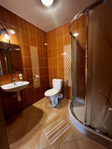 a bathroom with a toilet and a sink and a shower at Vila Panorama in Ždiar
