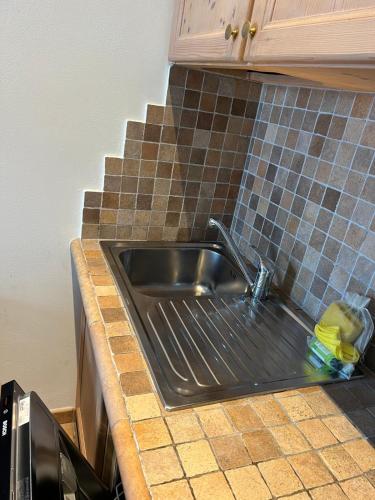 a kitchen sink with a faucet on a counter at Chalet Rin da Pemont in Livigno