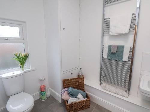 a bathroom with a toilet and a sink and a mirror at 1 Castle Terrace in Thirsk