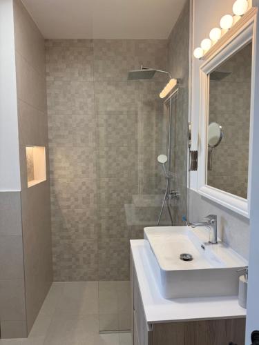a bathroom with a sink and a shower at Casa Elena in Banja Luka