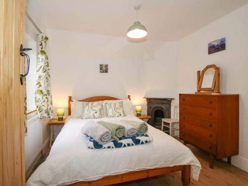 a bedroom with a bed and a fireplace at 1 Dingle Cottage in Worcester