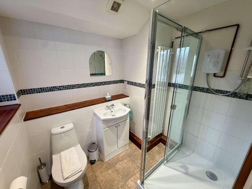 a bathroom with a shower and a toilet and a sink at Millbrook House Apartments 8 in Milton