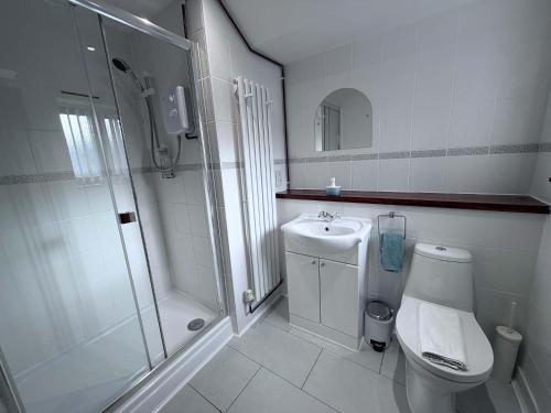 a bathroom with a shower and a toilet and a sink at Millbrook House Apartments 9 in Milton