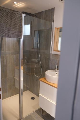 a bathroom with a shower and a sink at Beau studio calme, indépendant avec terrasse in Pessac