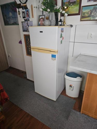 a white refrigerator in a kitchen with a trash can at Ubytování Rumberk 2 in Deštná