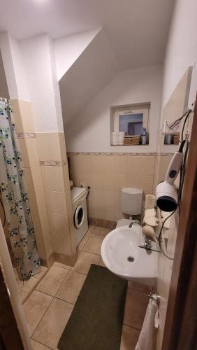 a small bathroom with a sink and a toilet at Harcsa Vendégház Tiszafüred in Tiszafüred