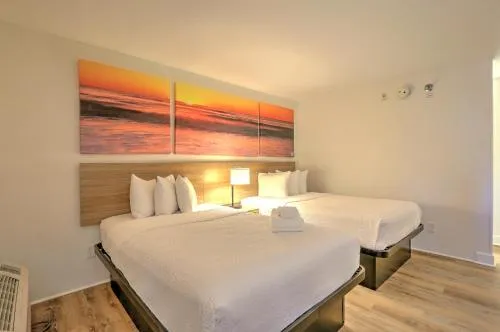 Hotel Carolina photo 12