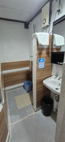 a bathroom with a sink and a toilet at Larmar bed and breakfast in Puerto Princesa City