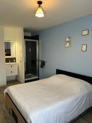 Appartements 4 chambres avec 4 salles de bains et climatisation photo 14