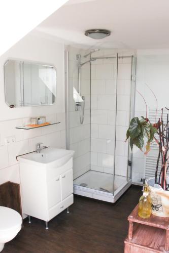 ein Badezimmer mit Glasdusche und Waschbecken in der Unterkunft Vila Belaggio in Plattling