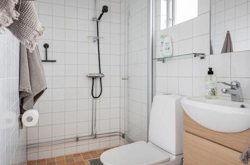 a bathroom with a shower with a toilet and a sink at Stendala Gård in Gärsnäs