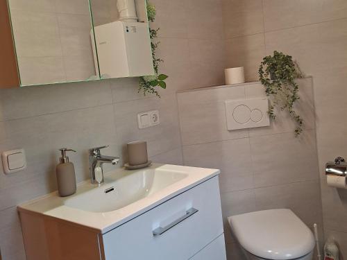 a bathroom with a sink and a toilet at Haus am Ponyhof in Aurich