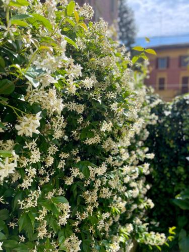 Minimal Chic Apartment Garden Free Parking Bologna 5 Min to Center photo 16