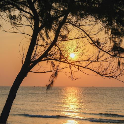 a sunset on the beach with a tree at Tropical eglamping Mũi Né in Ấp Long Sơn