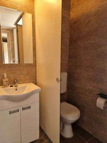 a bathroom with a sink and a toilet and a mirror at BGD Downtown Hostel in Belgrade