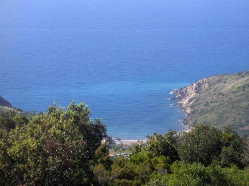 Φυσικό τοπίο κοντά σε αυτό το διαμέρισμα