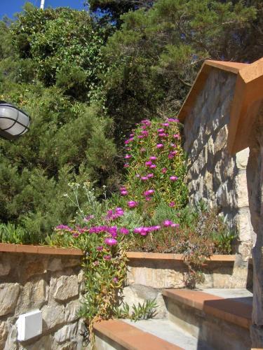 Κήπος έξω από το Cota Quinta
