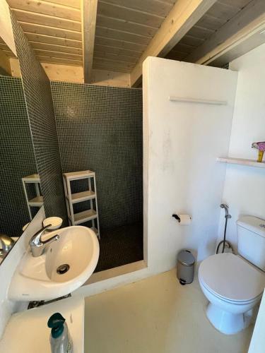 a bathroom with a sink and a toilet at Aljezur Houses 3 bedrooms 2 bathrooms with Condo Pool in Aljezur