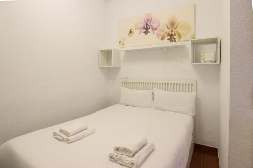 RentalSevilla Joaquín Costa