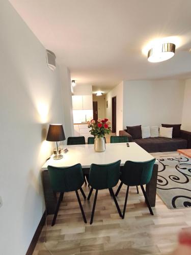 116 Duży Apartament rodzinny z aneksem kuchennym 200 m od morza jacuzzi i sauny w obiekcie