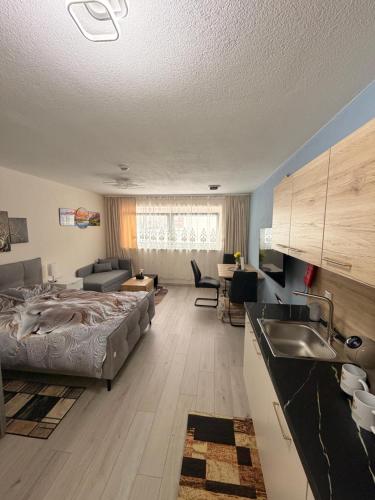a kitchen and living room with a bed and a sink at Zum Löwen Apartments in Reutte
