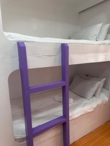 a bunk bed with a ladder in a bunk room at El Nido Homestay in El Nido