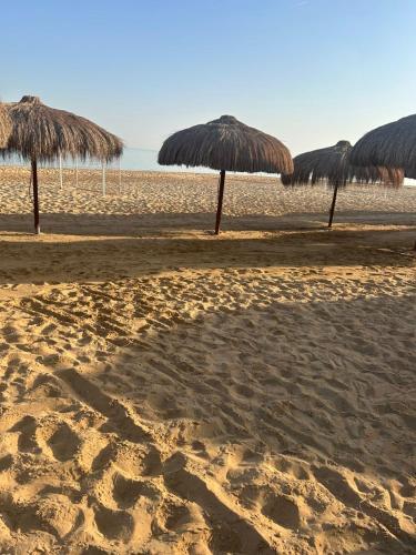 Laila Palm beach chalet