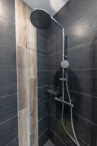 a shower with a shower head in a bathroom at L'Évolution, 1 suite et jardin privé in Vesoul