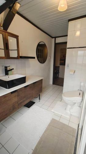 a bathroom with a toilet and a sink at Oude haven Borculo in Borkulo