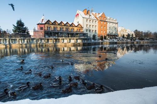 Hotel Nad Pisą