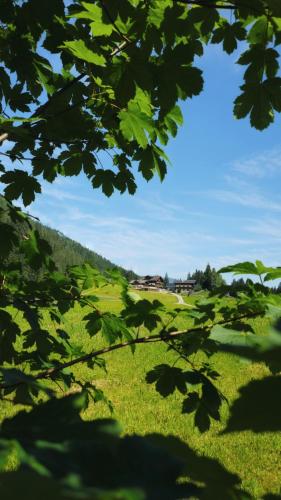 Appartement Hinterrohrgut