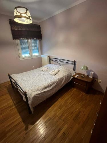 Renas' Apartments in Chios island
