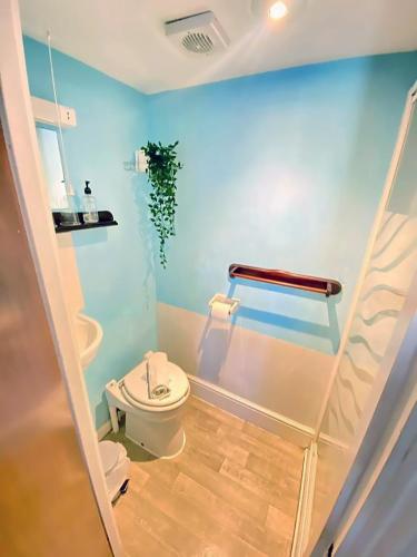 a bathroom with a toilet and a blue wall at Greyfriars Lodge Canterbury in Canterbury