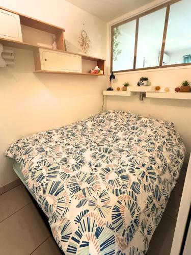 Appartement T1 bis - Le Petit Corail