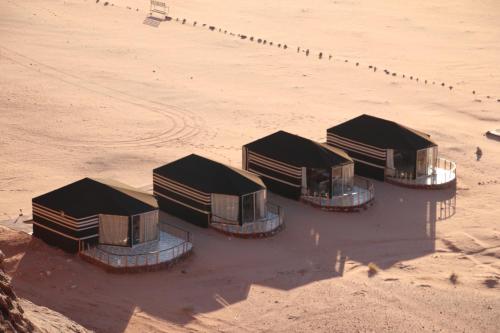 Desert Tree camp&tours