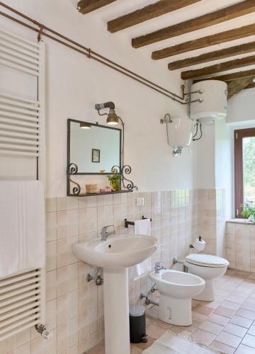a bathroom with a sink and a toilet and a mirror at Agri Ostello Valle Libera in Chianaiola