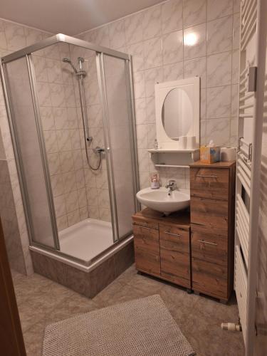 a bathroom with a shower and a sink at Apartment - Gästewohnung - Unterkunft Monteure in Chemnitz