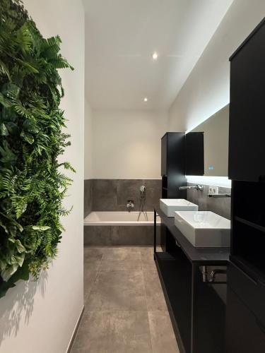 a bathroom with two sinks and a large plant at Elcami Living in Fritzens