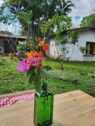 Jardí fora de Encanto