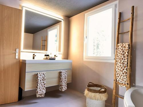 a bathroom with a sink and a mirror at Revier beau jardin in Glarus