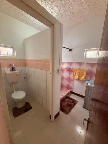 a bathroom with a toilet and a shower with pink walls at La maison des vacances in Cap Malheureux