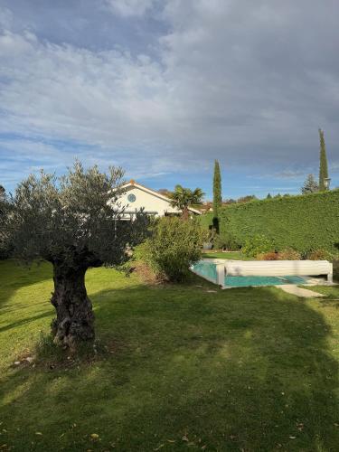 a tree in a yard next to a swimming pool at Les Tignoliers in Tignieu-Jameyzieu