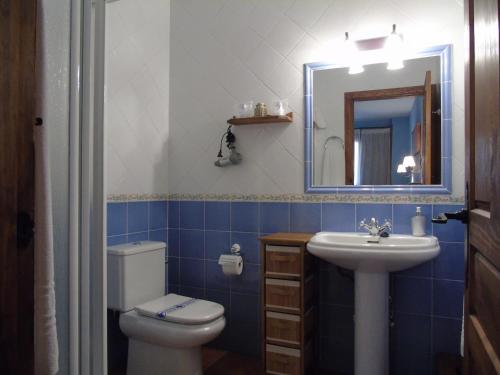 ヘルテにあるCasa Rural Apartamentoのバスルーム(トイレ、洗面台、鏡付)
