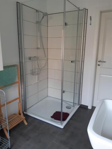 a shower with a glass door next to a sink at Ferienhaus Paries in Nitzow