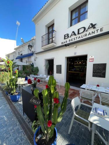 Zazz Estepona photo 23